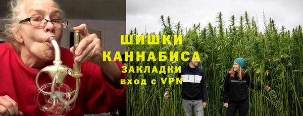 ПСИЛОЦИБИНОВЫЕ ГРИБЫ Вязьма