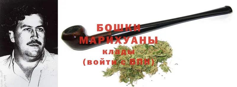 Канабис OG Kush  Козельск 